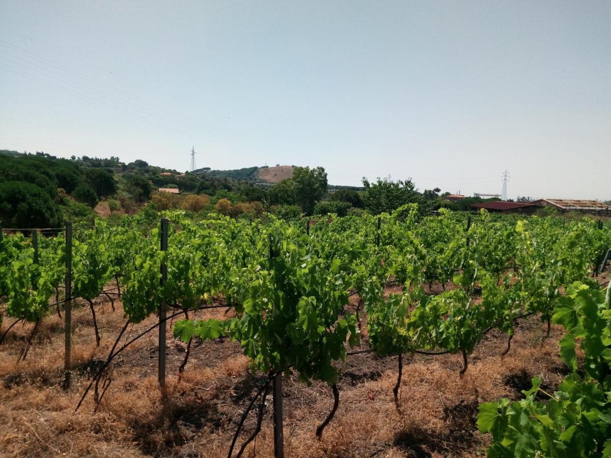 贝尔帕索Etnasentieri Wine House On Etna Mount别墅 外观 照片