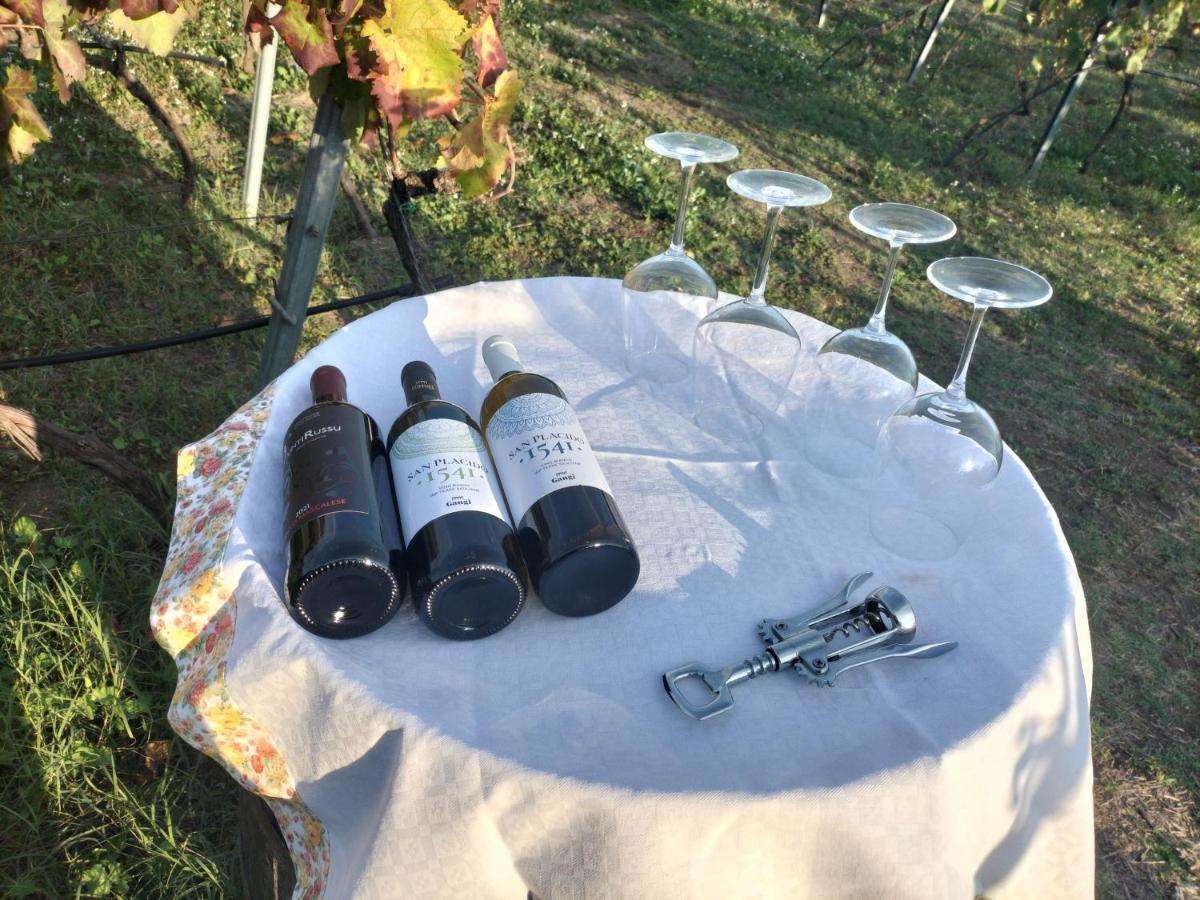贝尔帕索Etnasentieri Wine House On Etna Mount别墅 外观 照片