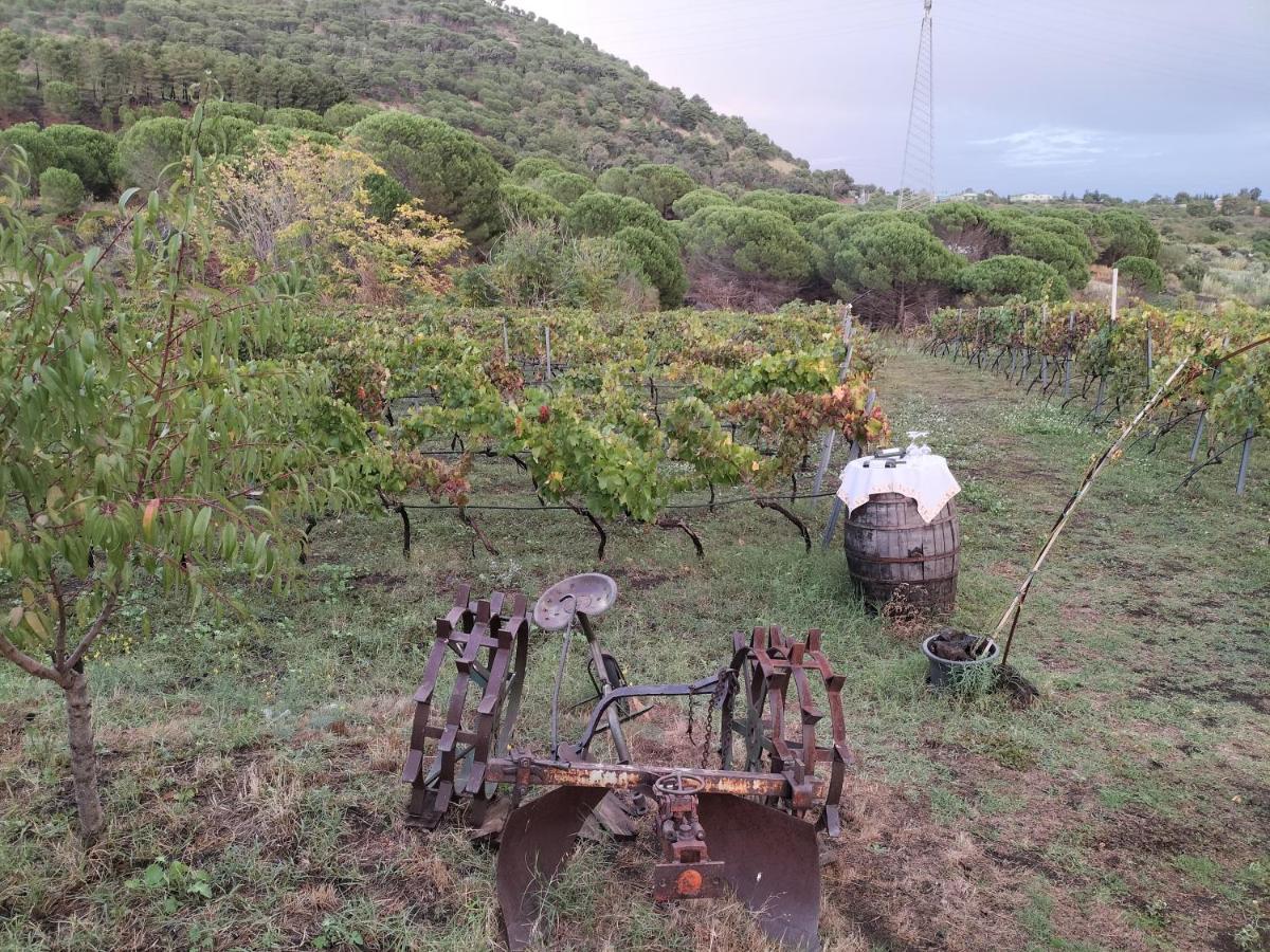 贝尔帕索Etnasentieri Wine House On Etna Mount别墅 外观 照片